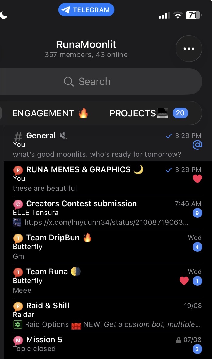 Runa Moonlit Community screenshot